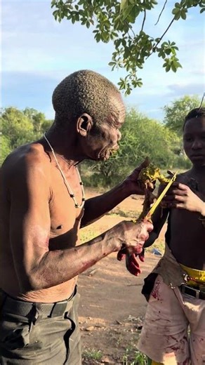 Extreme Traditions: Elder Hadzabe Man Eats Raw Intestinal Contents in the Forest