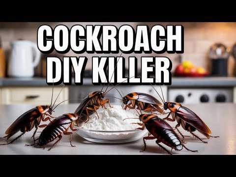 Cockroach Infestation - 3 Ingredient DIY Solution (THAT WORKS!)