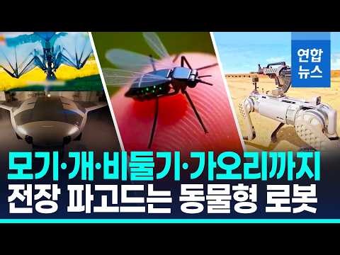 모기부터 가오리까지…전장 파고드는 '동물형 로봇' / 연합뉴스 (Yonhapnews)