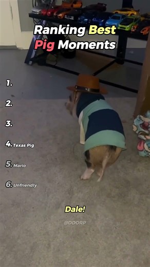 Ranking Best Pig Moments #pig #funny #hilarious #yoink #youtubeshort #shorts