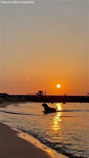 Beautiful Sunset 🌅 Relaxing Nature Scenery & Peaceful Sky | Nature Mind Serenity