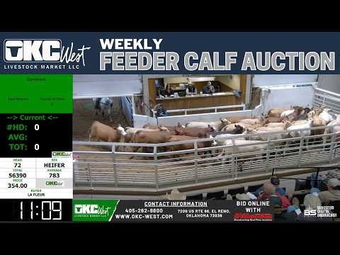 OKC WEST LIVESTOCK MARKET | 8,000 Head Monumental Wednesday Feeder Run | 5.6.26