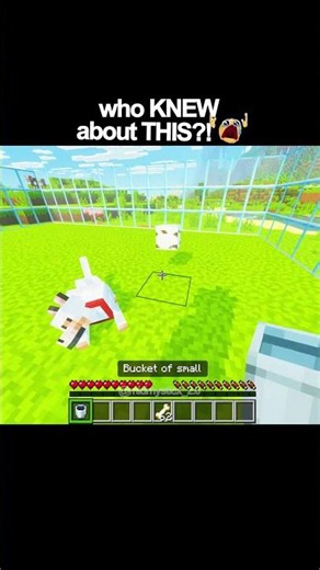 who KNEW about THIS?!?!