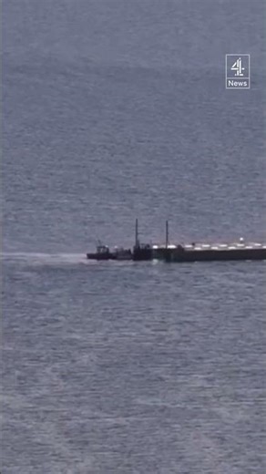 Stranded whale returned to North Sea