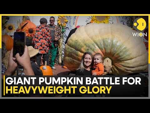 Giant Pumpkin Battle: Growers Compete For Heavyweight Glory | WION News