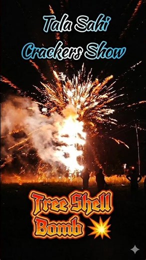 🔥 “Tree Shell Bomb 💥 Shocked Reaction 😱” #shorts