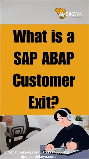 What is a SAP ABAP Customer Exit?
