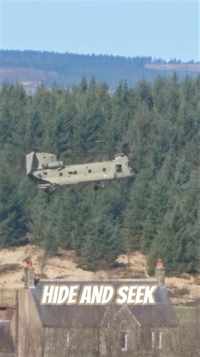 Amazing low level flying hiding in the trees