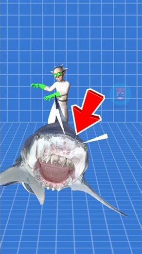 WHY DID THE MEGALODON SHARK GO EXTINCT? | 😨 #facts #amazingfacts #animaltreasure