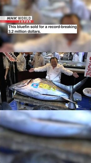 Tuna fetches record $3.2 mil. at Tokyo New Year auctionーNHK WORLD-JAPAN NEWS #shorts