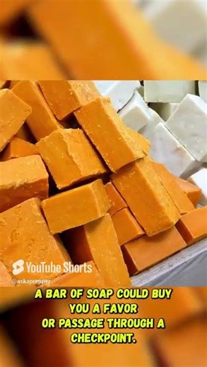 Disease will kill you when #SHTF - #survival #prepping #disease