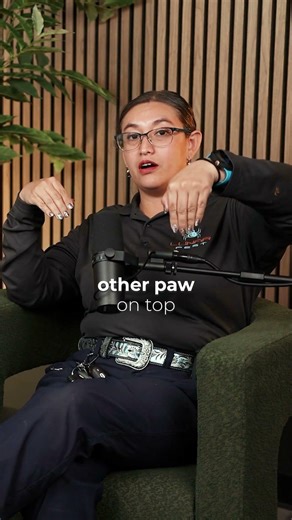 How Coyote Rollers Actually Stop Coyotes From Jumping Block Walls