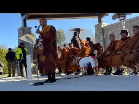 LIVE Day 66: Peace Sharing Talk at Lunch Stop, Porter Sanford III Center, Decatur, GA