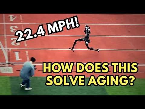 They Predicted China’s Downfall. Then the Robots Arrived.