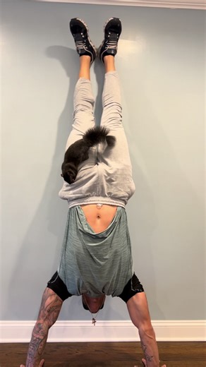 Squirrel Dad: A Life of Adventure