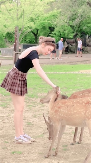 🦌❤️ 日本の女の子たちと鹿の可愛すぎるひととき！｜奈良公園で癒される素敵な時間✨#narapark #traveljapan
