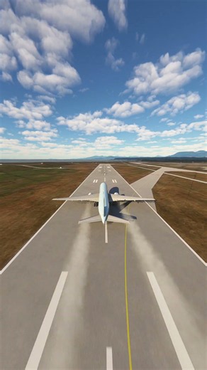 the pilot's actions endangered the plane's passengers EP471