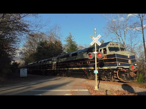 Warrior Drive Railroad Crossing, Colonial Heights, TN with Hemlock Defect Detector