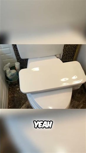 Toto Toilet Flapper Replacement: The Bathroom Mystery! #shorts