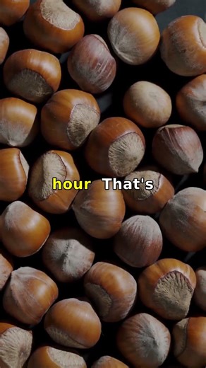 5 Trusted Mobile Bitcoin Cloud Mining Apps in 2026 for Safe Crypto Earnings