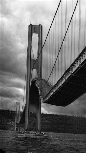 Galloping Gertie: The TRUTH Behind the Tacoma Narrows Bridge Collapse! #shorts #engineering