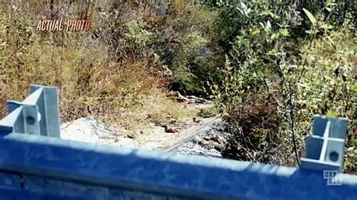 The Murder of Judy Moody Mayo and Melissa Moody