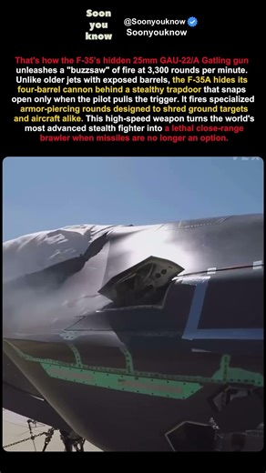 The F-35’s SECRET Weapon: The Hidden 25mm "Buzzsaw