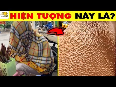 THE PINNACLE OF INTELLIGENCE - If Teenagers Know These 17+ Unique Things, They'll Be Awesome! | Q...