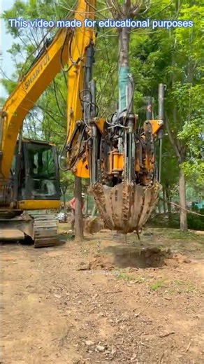 Fastest Tree Digging Machine! 🌴