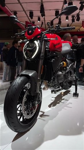 Ducati Monster