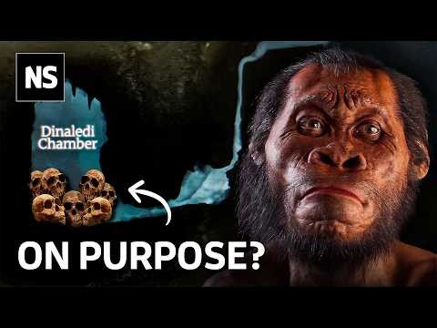 The Ancient Discovery Changing What We Know About Death