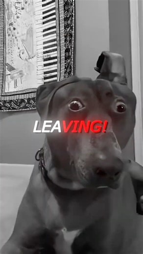 tiktok is spying on us 😳