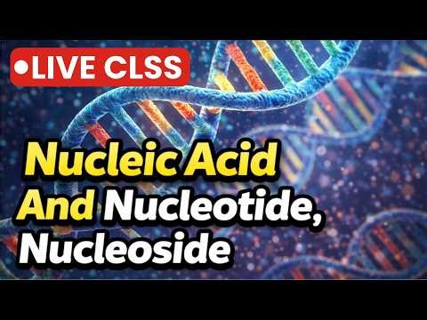 Nucleic Acid, Nucleotide & Nucleoside Explained | Class 11 Biology | NEET 2026
