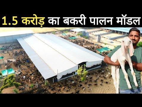 शहर की 1 लाख महीने की नौकरी छोड़ अपने गांव आकर बनाई बकरी फैक्ट्री | Goat Farming | Goat Farm Tour
