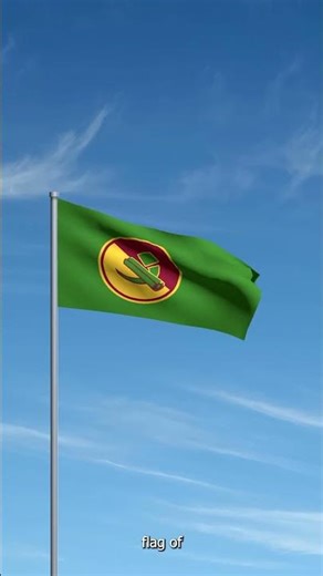 Making a Custom Flag for a Geometry Dash Fan #flags #customdesign #geometrydash