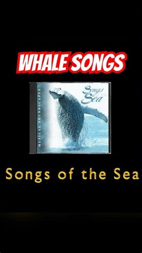 Why Humpback Whales Sound So Musical
