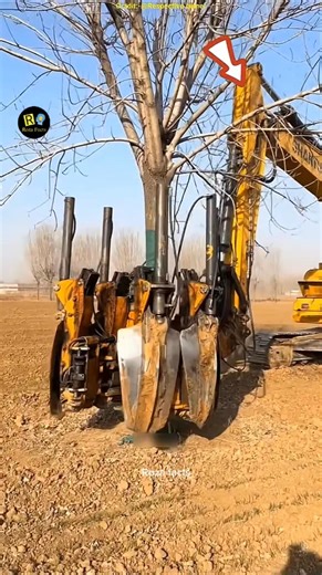 Japan’s Amazing Tree Relocation Machine #shots​ #facts​ ______________________________________ In Japan, trees are not cut for road construction. Instead, a powerful tree relocation machine is used. This machine carefully grips the tree, lifts it along with its roots and soil, and moves it to a new location. It protects nature while allowing development to continue smoothly. A perfect example of smart and eco-friendly technology. ______________________________________ #JapanTechnology​ #TreeRelo