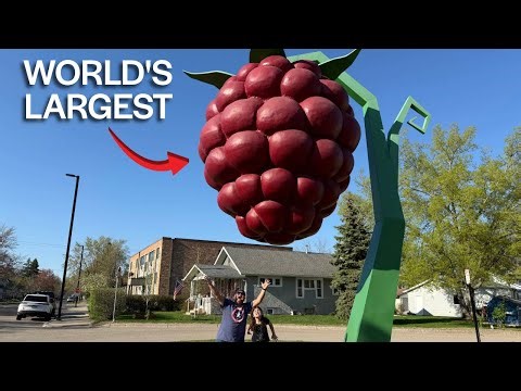 We Searched For The World's Largest Raspberry