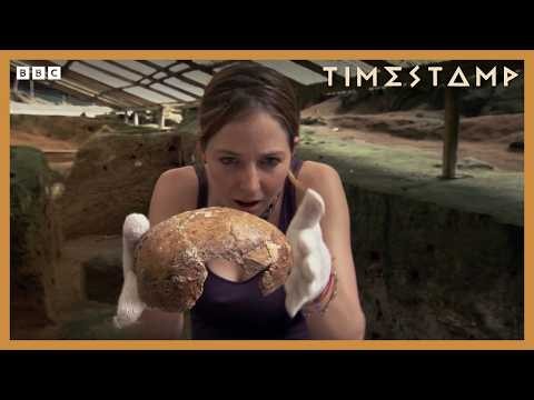 Prof Alice Roberts: The Origins Of Humans | BBC Timestamp | BBC Studios