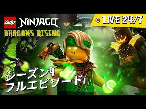 🔴 レゴ ニンジャゴー：ドラゴンライジング 新シーズン 4! 🐉 全エピソード 🥷