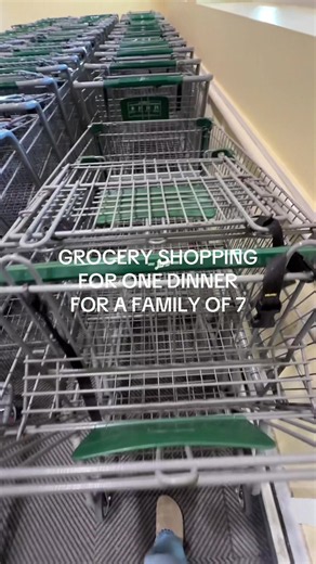 this is a big deal for me because I usually order all of my groceries online 🥴 #groceryshopping #groceryhaul #shopwithme #lowesfoods #dinner