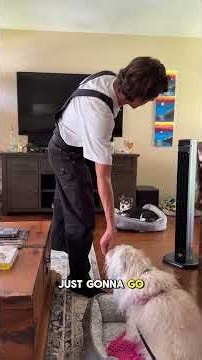 When one dog starts barking, the other usually joins in, making it harder to keep things calm. We're