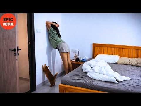 Idiots at Work & Instant Regret Moments Caught on Camera