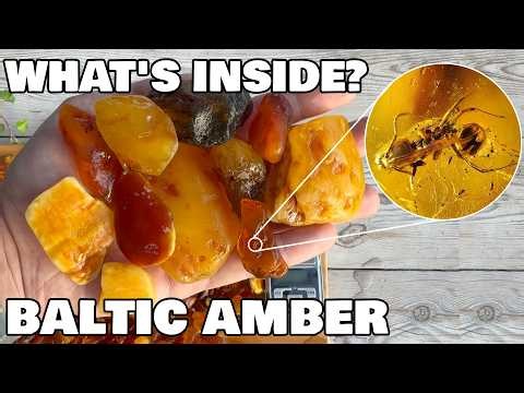 What Was Hiding Inside My Biggest Amber Haul Ever?