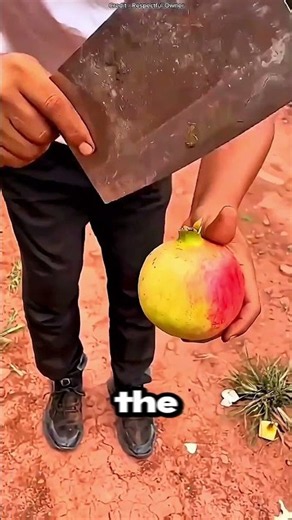 The Most Satisfying Way to Peel a Pomegranate! 🍎🤯 #Pomegranate #FruitHacks #LifeHacks