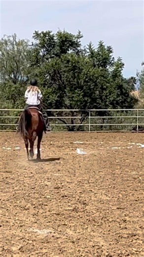 Keyhole on Charlie! #horse #equestrianjourney #equestrian