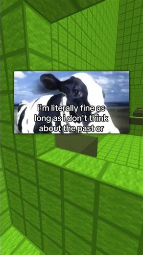1 Minute Of Memes