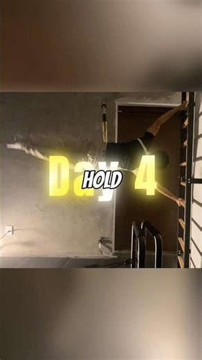 Day 4 of My Human Flag Journey