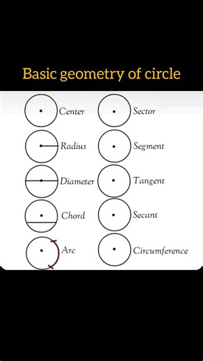 Basic geometry of circle 🔵 #maths #geometry #circle circle #viral #class