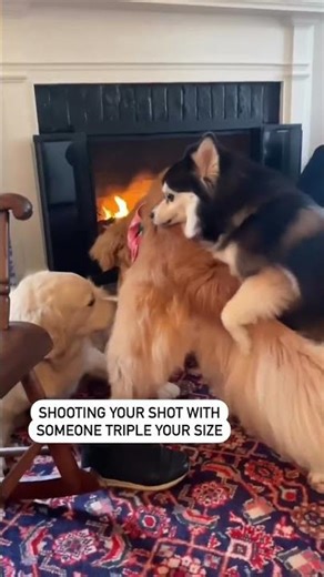 This was a mistake. 😂